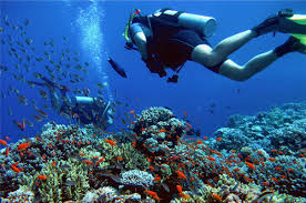 plongée sous marine