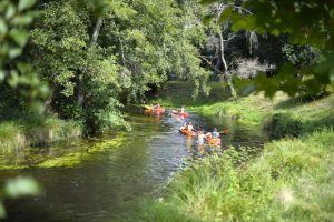 canoe