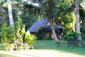 madagascar-mahambo