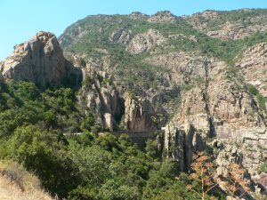 fla-foret-des-sept-freres-sette-fratelli